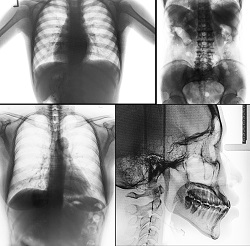 Medical Imaging Software FAQs and Answers from the PACS Exchange Experts